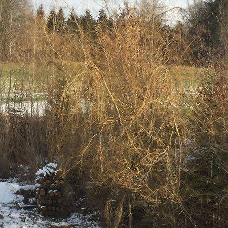 Privatzimmer Vermietung Helmut Buergmann Kirchberg bei Mattighofen Zewnętrze zdjęcie